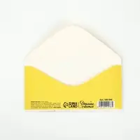 Конверт для денег &laquo;С днём рождения&raquo;, конфетти,16.5&times;8 см