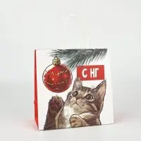 Пакеты подарочные новогодние &laquo;Новый год&raquo;, 22&times;22&times;11 см, 10 шт.