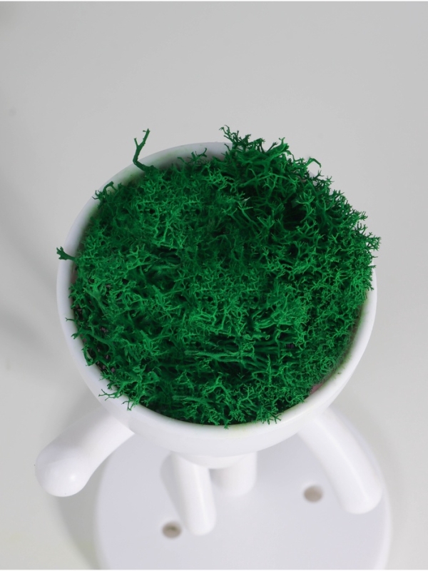 Кашпо пластиковое Кашпо пластиковое "Мистер Грин" 16*10*8,5 см белый