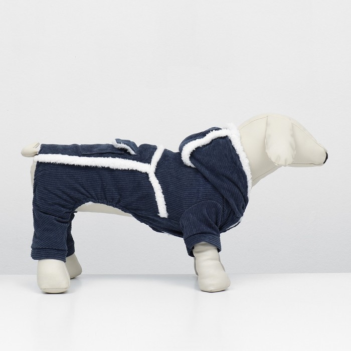 Комбинезон Комбинезон "Малыш", размер XS (ДС 20 см, ОГ 30 см, ОШ 20 см), синий