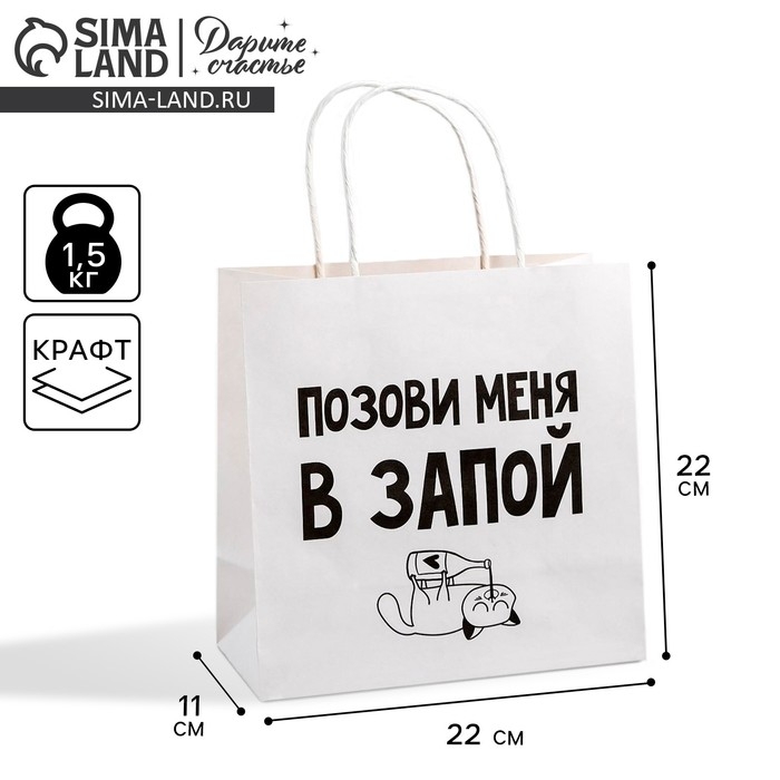 Пакет подарочный, упаковка, «Позови меня», 22 х 22 х 11 см Пакет подарочный, упаковка, «Позови меня», 22 х 22 х 11 см