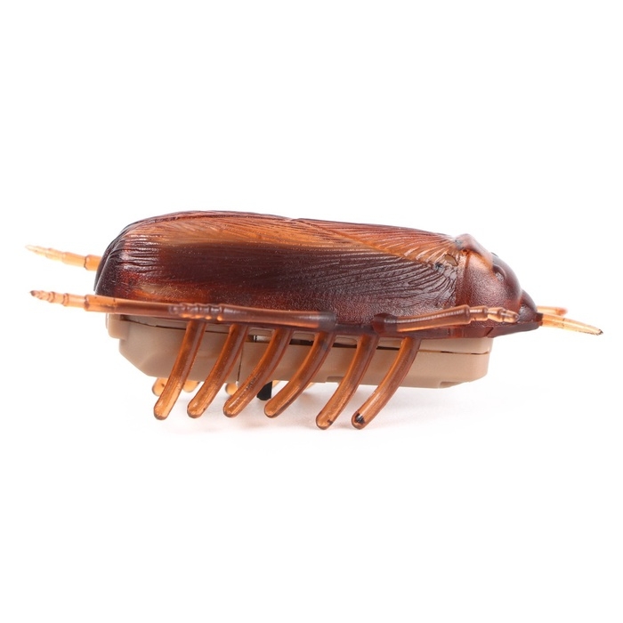 Интерактивная игрушка для кошек «Таракан» Интерактивная игрушка для кошек «Таракан»