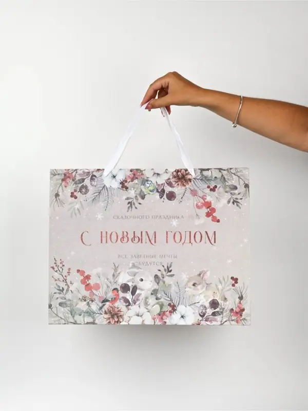 Набор новогодних пакетов &laquo;Спешу поздравить&raquo;