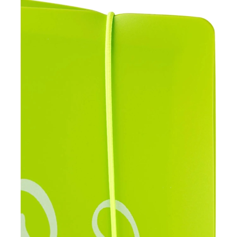 Бизнес-тетрадь А5,120 л,пласт обл,на рез,с разд, ATTACHE FANTASY,салат