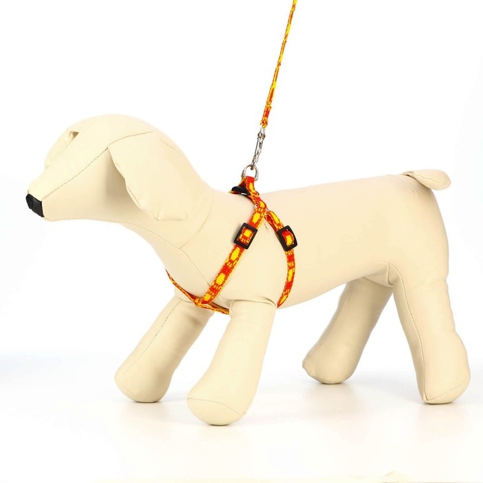 Комплект Комплект "Большая лапа", ширина 1 см, поводок 120 см, шлейка 25-36 см, оранжево-жёлтый