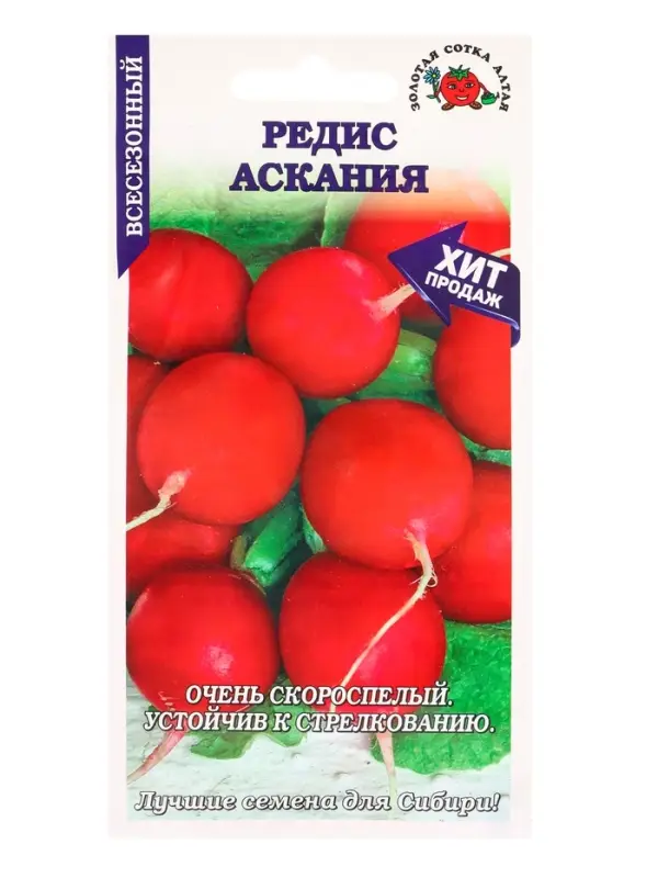 Семена Редис &laquo;Аскания&raquo;, 1 г, скороспелый, &laquo;Золотая Сотка Алтая&raquo;