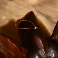 Сувенир "Черепаха" албезия 30х20х6 см Сувенир "Черепаха" албезия 30х20х6 см