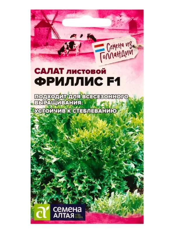 Семена Салат "Фриллис", Seminis, F1, Сем. Алт, ц/п, 0,01 г