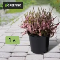 Горшок для рассады, 1 л, d=13 см, h=10.5 см, чёрный, Greengo