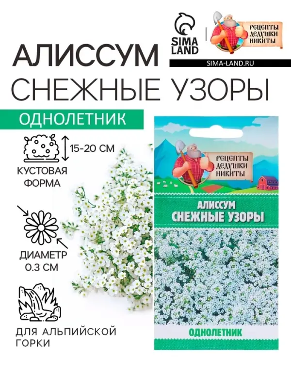 Семена цветов Алиссум  Семена цветов Алиссум "Снежные узоры", 5 шт.