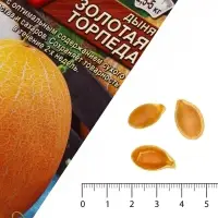 Семена Дыня &laquo;Золотая торпеда&raquo;, 1 г, &laquo;Аэлита&raquo;