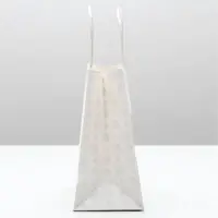 Пакет подарочный новогодний &laquo;Год Новый, а ты старый&raquo;, 22&times;22&times;11 см