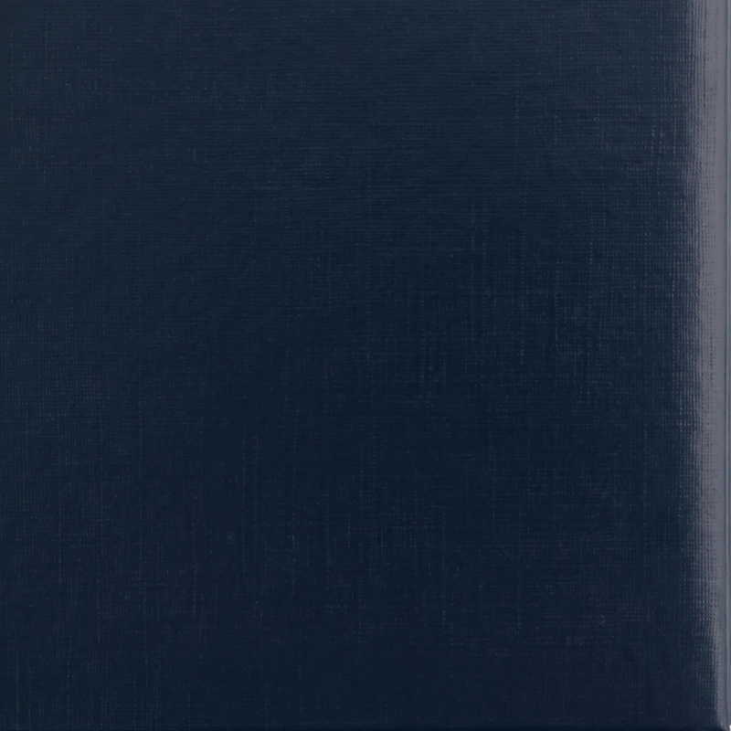 Папка адресная без тиснения бумвинил с поролоном синяя