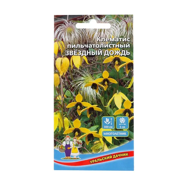 Семена Цветов Клематис пильчатолистный  Семена Цветов Клематис пильчатолистный "Звездный дождь"   ,12 шт  ,
