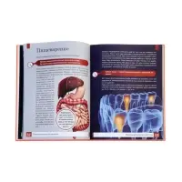 Эциклопедия "Тело человека", Ульева Е.А.