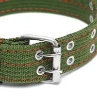 Ошейник, 65&times;4 см, ОШ 54-60 см, четырёхслойный с вертлюгом, полиэстер, зелёный