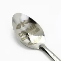 Ложка чайная с гравировкой &laquo;Лучший из лучших&raquo;, 14&times;3 см