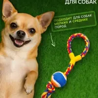 Игрушка канатная с ручкой и мячом, до 150 г, до 35 см, цвет МИКС