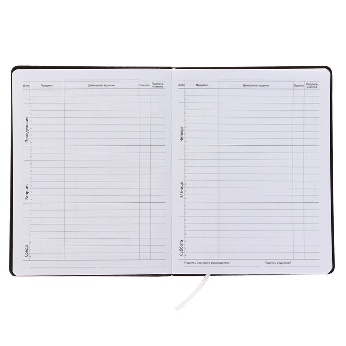 Дневник универсальный для 1-11 класса Chic, твёрдая обложка, искусственная кожа, с поролоном, ляссе, 80 г/м2