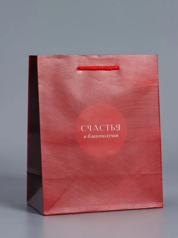 Пакет подарочный "С уважением!" ламинированный 18 х 22,3 х 10 см