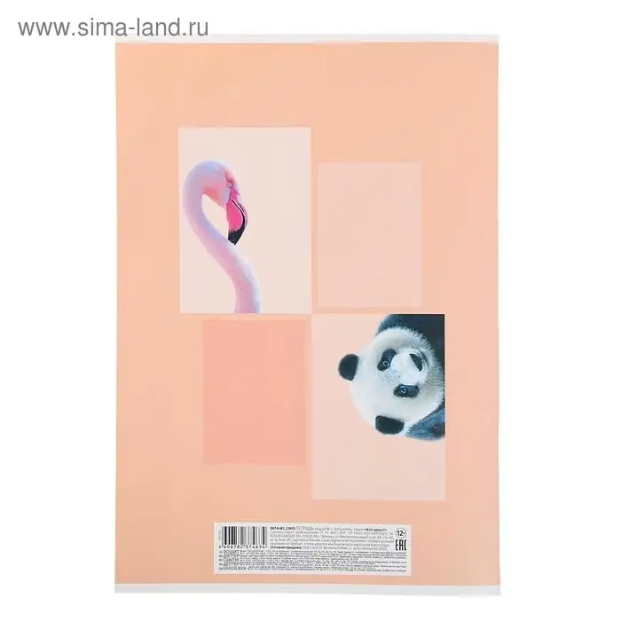 Тетрадь А4, 96 листов в клетку "Кто здесь?", обложка мелованный картон, матовая ламинация, блок офсет, МИКС