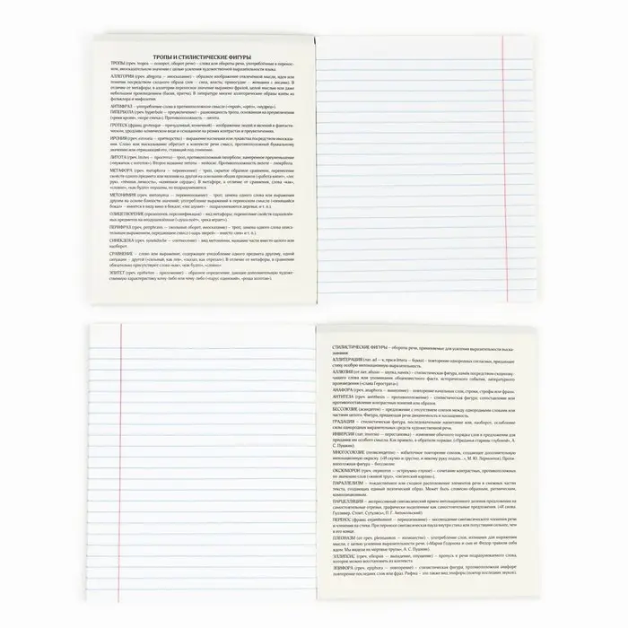 Тетрадь в линейку, предметная, 36 л.,на скрепке, блок №1&laquo;Черный фон. Литература&raquo;