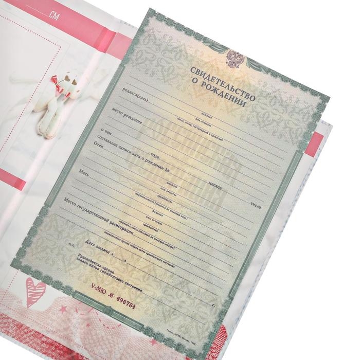 Папка для свидетельства о рождении «Скетч», для девочки, А4 Папка для свидетельства о рождении «Скетч», для девочки, А4