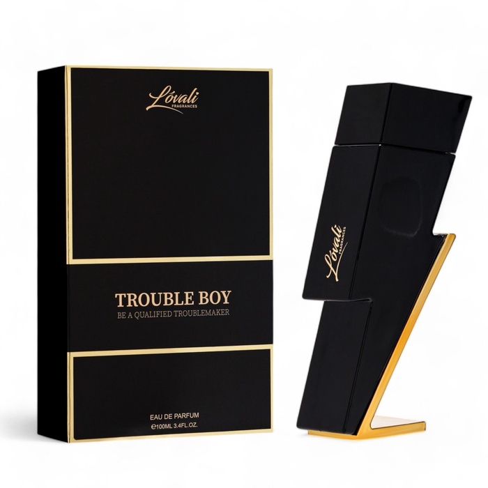Туалетная вода мужская TROUBLE BOY (по мотивам Carolina Herrera Bad Boy), 100 мл Туалетная вода мужская TROUBLE BOY (по мотивам Carolina Herrera Bad Boy), 100 мл