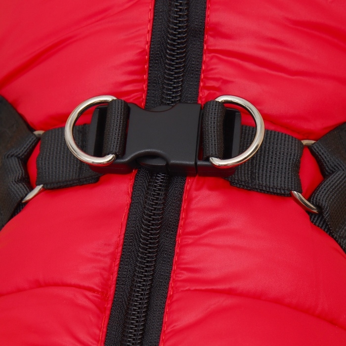 Комбинезон для собак со шлейкой Комбинезон для собак со шлейкой "Моден", размер 22 (ДС 41, ОГ 60, ОШ 43 см), красный