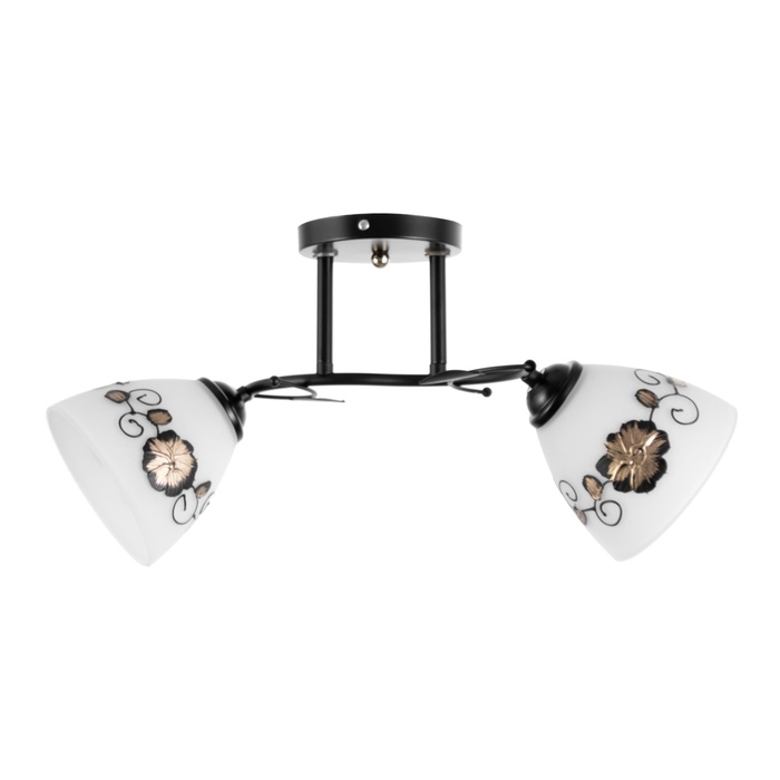 Люстра Люстра "Арья" 2хЕ27 40Вт черный 47х26 см