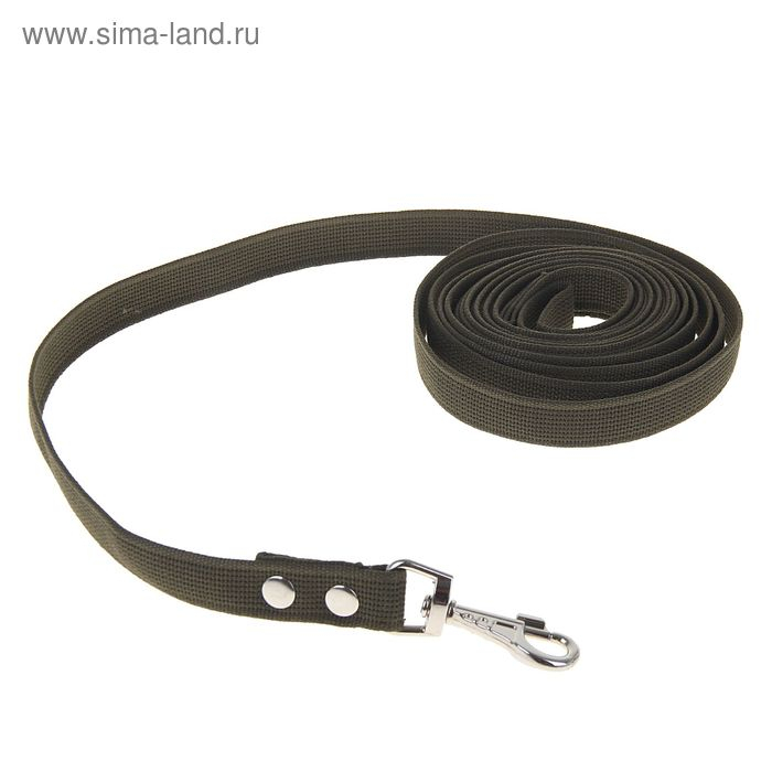 Поводок брезентовый 5 м х 2,5 см, тёмно-зелёный Поводок брезентовый 5 м х 2,5 см, тёмно-зелёный