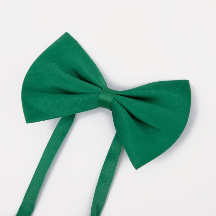 Подтяжки детские «Выбражулька», ширина 2.5 см, бабочка, цвет зелёный