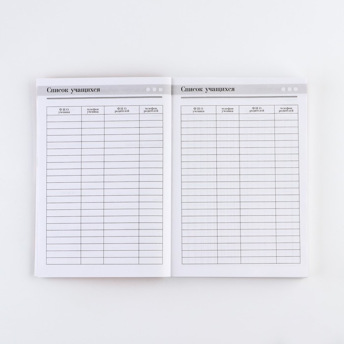 Ежедневник «Золотому учителю», формат А5, 160 листов, мягкая обложка Ежедневник «Золотому учителю», формат А5, 160 листов, мягкая обложка