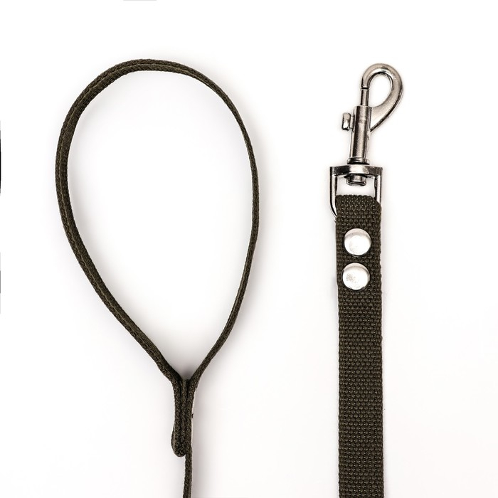 Поводок брезентовый 3 м х 2 см, тёмно-зелёный Поводок брезентовый 3 м х 2 см, тёмно-зелёный