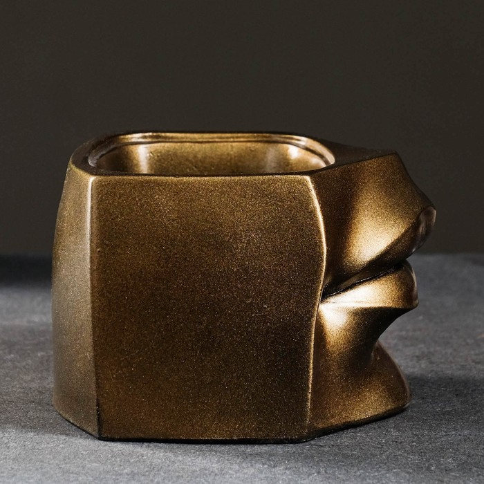 Кашпо - органайзер Кашпо - органайзер "Губы Давида" бронза, 16х11х15,5см