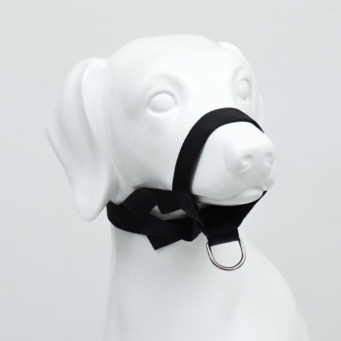 Недоуздок-намордник для собак строгий, размер L, ОМ 18-30 см, ОШ 16-24 см, черный Недоуздок-намордник для собак строгий, размер L, ОМ 18-30 см, ОШ 16-24 см, черный