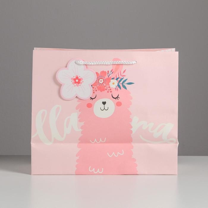 Пакет подарочный, упаковка, &laquo;Lama&raquo;, 27 х 23 х 11,5 см