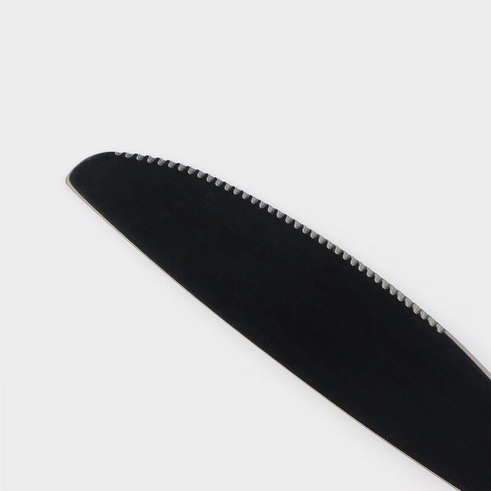 Столовые приборы из нержавеющей стали Magistro, 24 предмета, цвет чёрный Столовые приборы из нержавеющей стали Magistro, 24 предмета, цвет чёрный