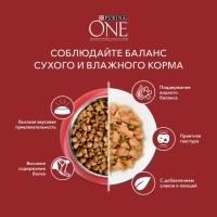 Сухой корм Purinа One medium/maxi для взрослых собак, говядина/рис, 10 кг