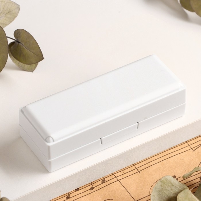 Губная гармошка Music Life T008L  C диатоническая, 10 отверстий, с футляром Губная гармошка Music Life T008L  C диатоническая, 10 отверстий, с футляром