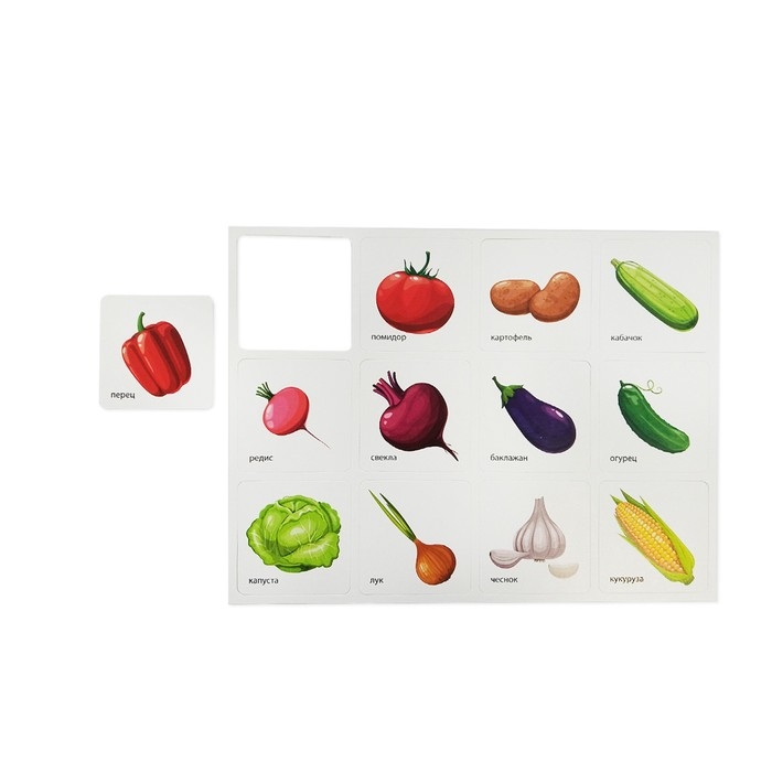 Настольная развивающая игра «Умный сортер «Фрукты, ягоды, овощи, грибы» Настольная развивающая игра «Умный сортер «Фрукты, ягоды, овощи, грибы»