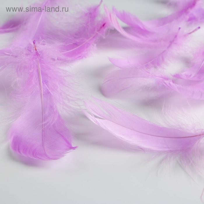 Наполнитель для шаров и подарков, упаковка, «Для кого-то прекрасного» , 15 х 11 см Наполнитель для шаров и подарков, упаковка, «Для кого-то прекрасного» , 15 х 11 см