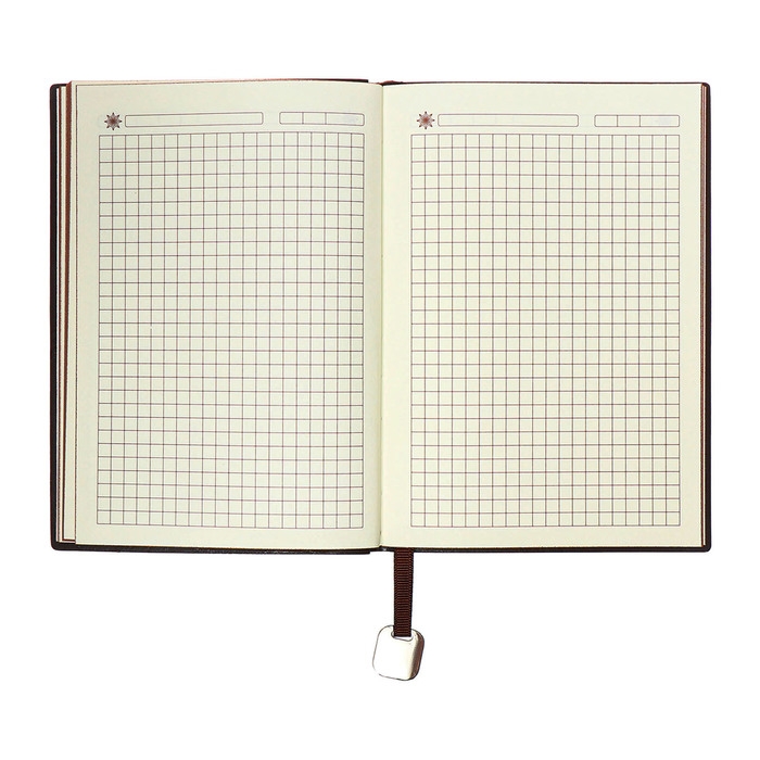 Органайзер на кольцах, B6, 116л, клетка, обл.кожзам, коричневый срез, Синий Органайзер на кольцах, B6, 116л, клетка, обл.кожзам, коричневый срез, Синий