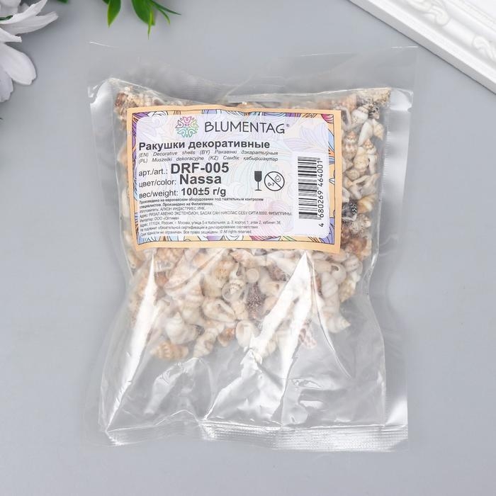 Ракушки декоративные  Ракушки декоративные "Nassa" 100 г ± 5 г 0.6-1.2 см