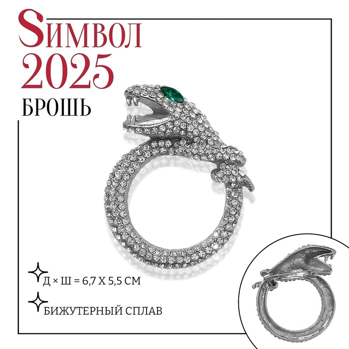 Новый год! Символ года 2025! Брошь «Змея» кольцом, цвет бело-зелёный в серебре Новый год! Символ года 2025! Брошь «Змея» кольцом, цвет бело-зелёный в серебре
