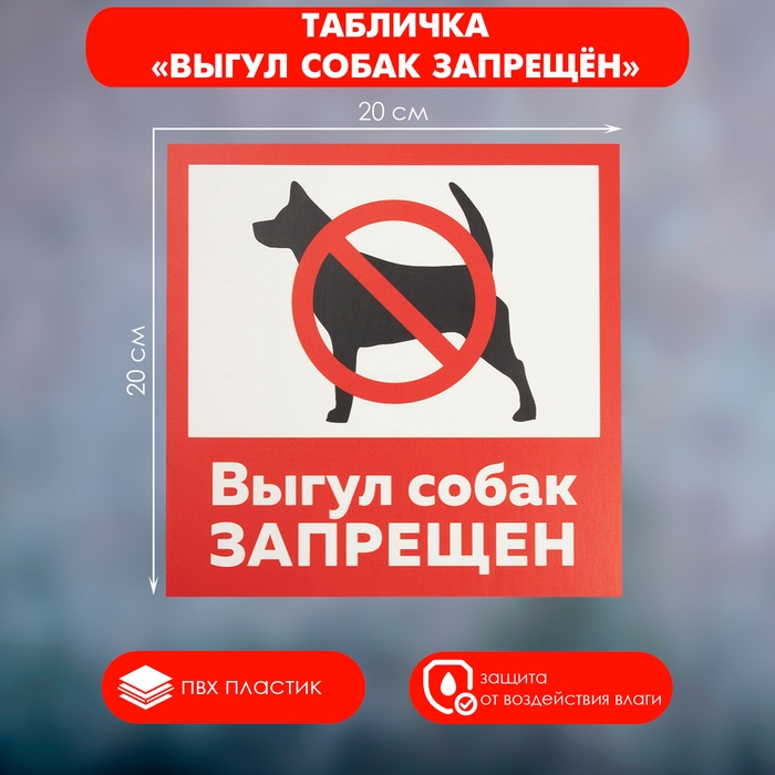 Табличка «ВЫГУЛ СОБАК ЗАПРЕЩЁН» 200×200, самоклеящаяся основа Табличка «ВЫГУЛ СОБАК ЗАПРЕЩЁН» 200×200, самоклеящаяся основа