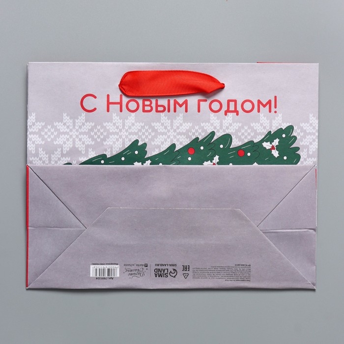 Пакет подарочный новогодний крафтовый горизонтальный «Спешу к тебе», MS 23 х 18 х 10 см, Новый год Пакет подарочный новогодний крафтовый горизонтальный «Спешу к тебе», MS 23 х 18 х 10 см, Новый год