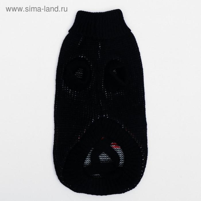 Свитер, размер 10 (ДС 30-45, ОШ 16-31, ОГ 30-45 см), микс расцветок Свитер, размер 10 (ДС 30-45, ОШ 16-31, ОГ 30-45 см), микс расцветок