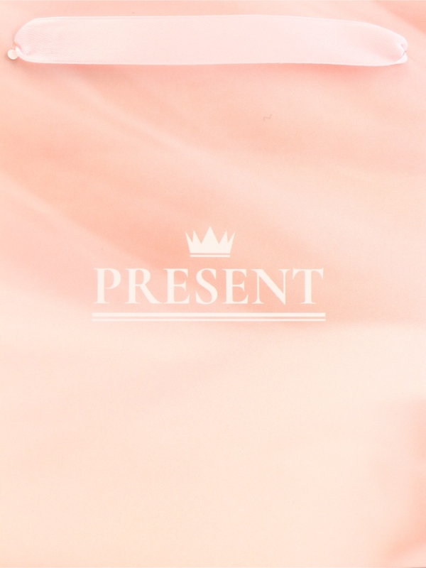 Пакет подарочный горизонтальный "Present", 23 х 18 х 10 см