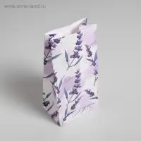 Пакет подарочный без ручек &laquo;Подарок для тебя&raquo;, 10&times;19.5&times;7 см